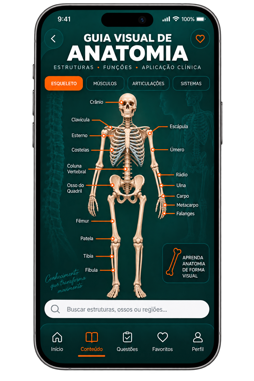 Mockup do Guia Visual de Anatomia para Enfermagem